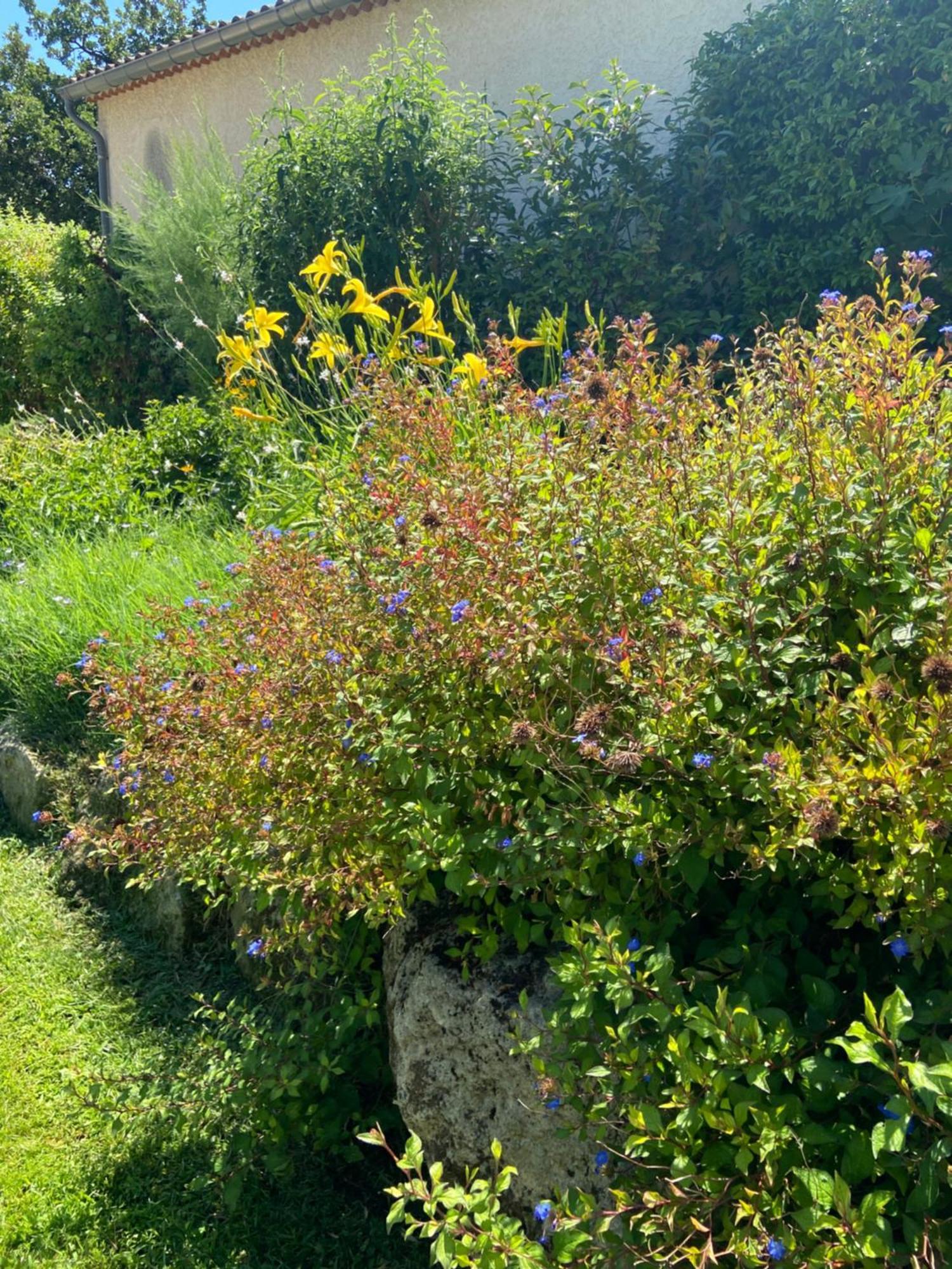 Paradis Provencal Villa - Espace Detente Et Bbq Lmv Carpentras Εξωτερικό φωτογραφία